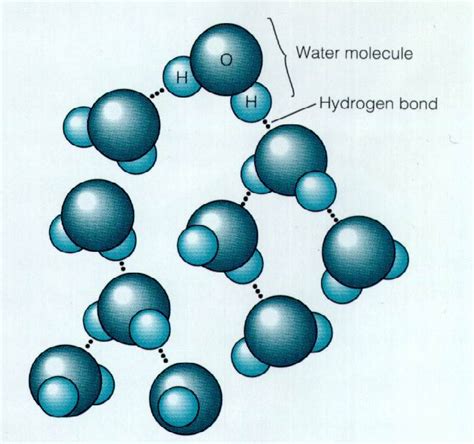 水的形狀|水分子:物質簡介,水的形態,在宇宙中,在地球上,結構分析,內部結構,。